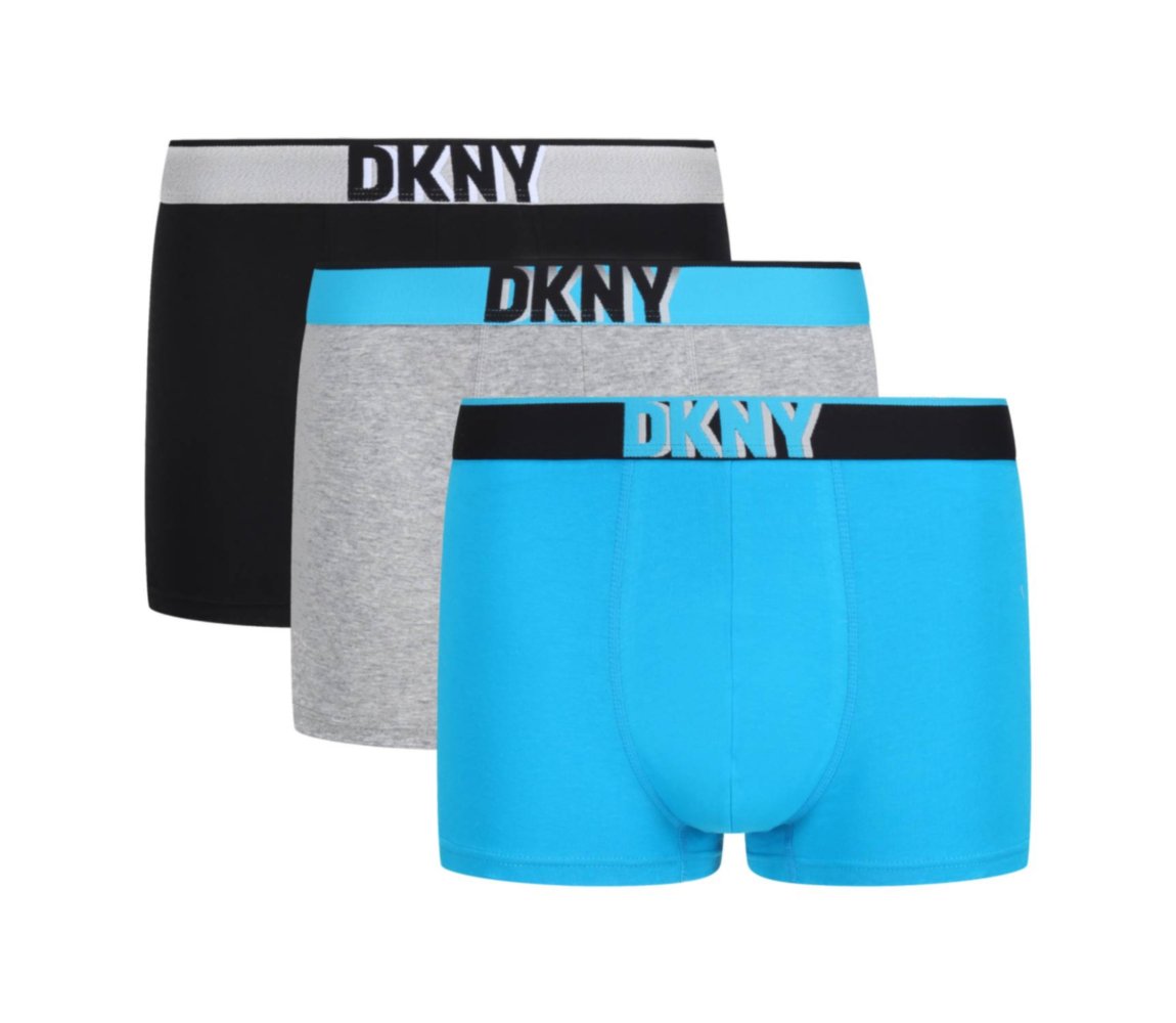 DKNY 3 Pack Hoquaim Mens Boxer Shorts 